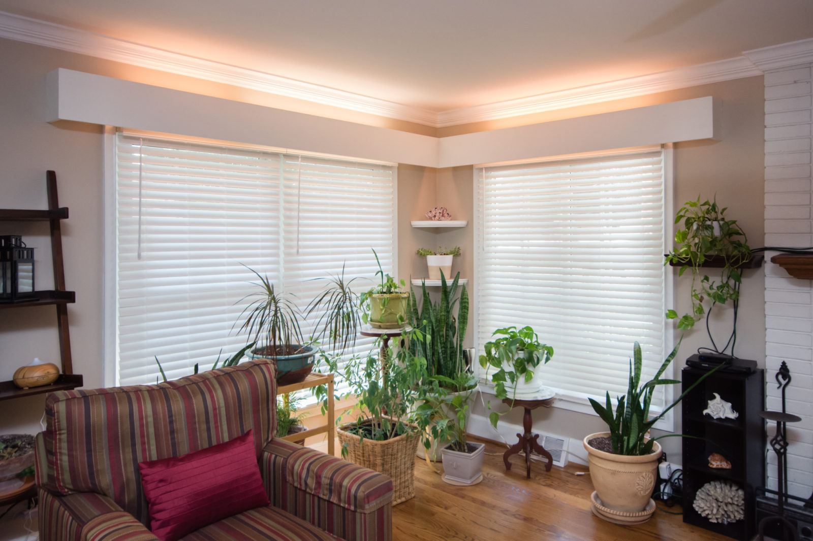 Madison Park, home remodel with green plants