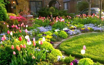 Spring Cleaning 101: Prep Your Property For The Season