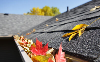 Gutter cleaning: How important is it?