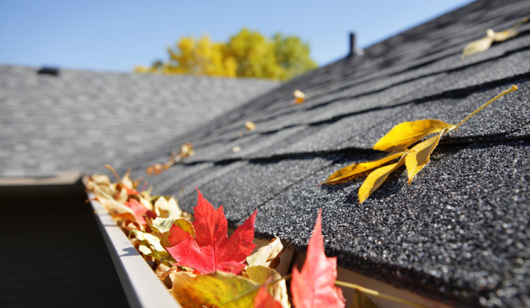 Gutter cleaning: How important is it?
