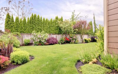 Summer Home Improvement Projects